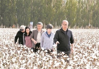 李召虎團隊成員在棉田了解試驗情況。 受訪單位供圖
