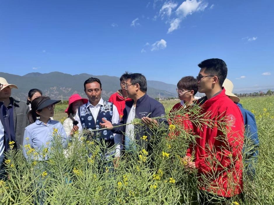 在“科技小院”授課的張福鎖。人民網(wǎng)記者李依環(huán) 攝