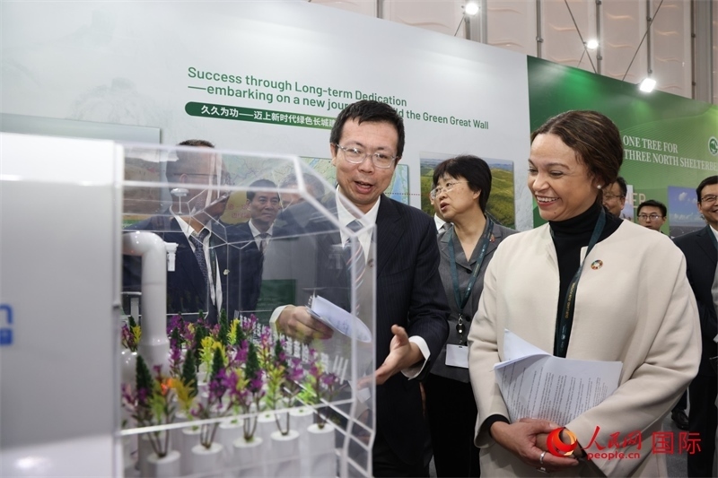 嘉賓參觀中國館。人民網(wǎng)記者任皓宇攝