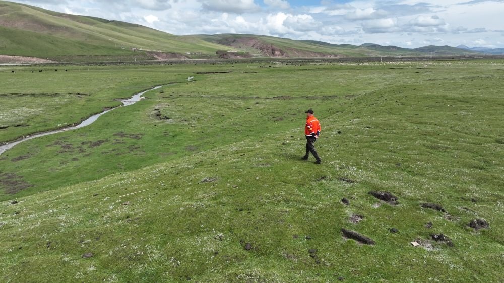 9月24日，生態(tài)管護員那瓦才郎在草場上巡護。（受訪者供圖）