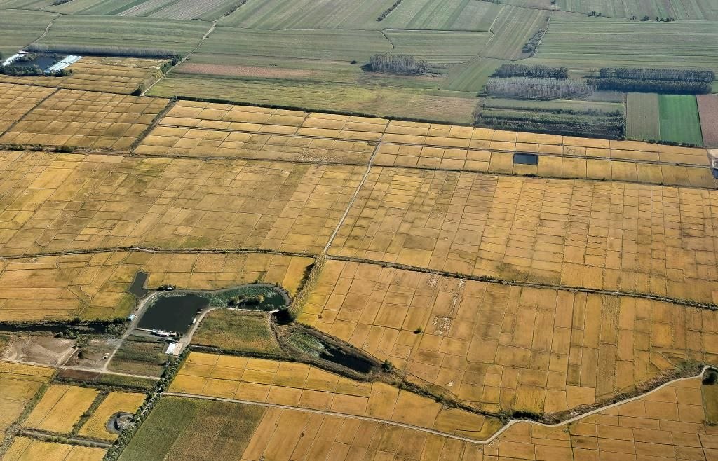 俯瞰黑龍江省哈爾濱市一處稻田（10月2日攝，無(wú)人機(jī)照片）。新華社記者 孫曉宇 攝