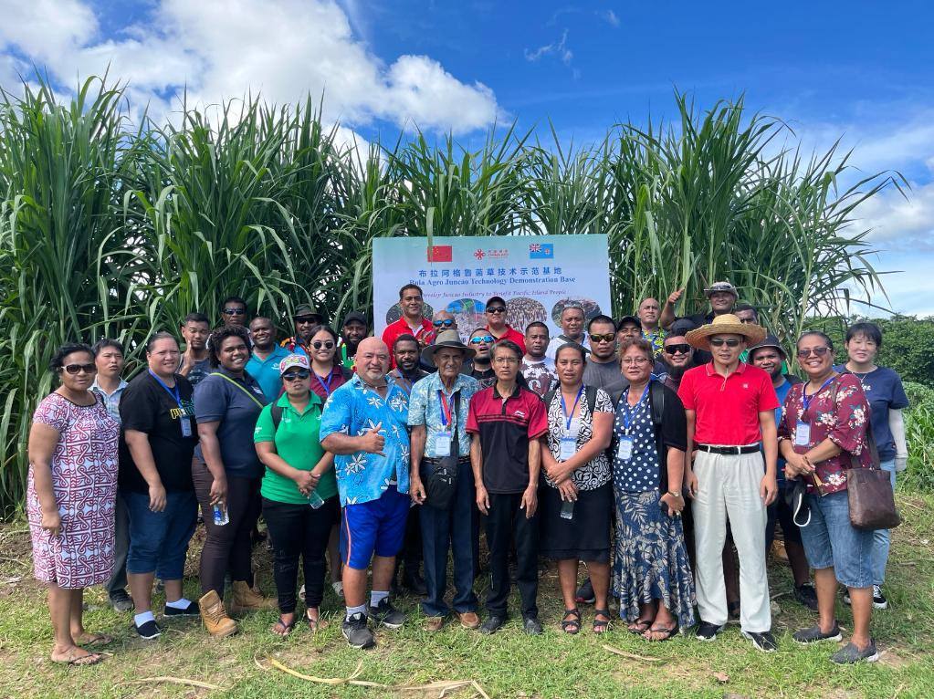 2024年2月28日，來自巴布亞新幾內(nèi)亞、湯加、庫克群島、薩摩亞、瑙魯?shù)葒业摹疤窖髰u國菌草技術(shù)培訓(xùn)班”學(xué)員在斐濟(jì)布拉阿格魯菌草技術(shù)示范基地合影。新華社發(fā)（中國援斐濟(jì)菌草技術(shù)示范中心供圖）