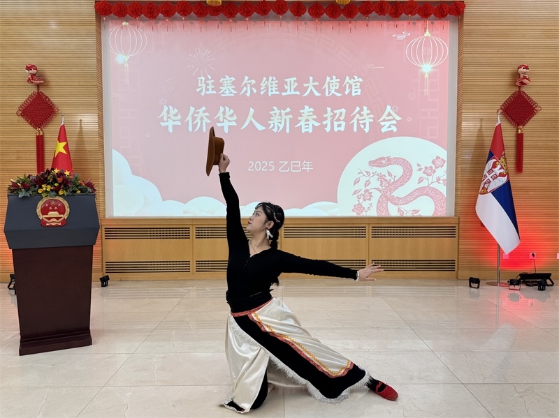 招待會現(xiàn)場表演。諾維薩德孔子學(xué)院供圖