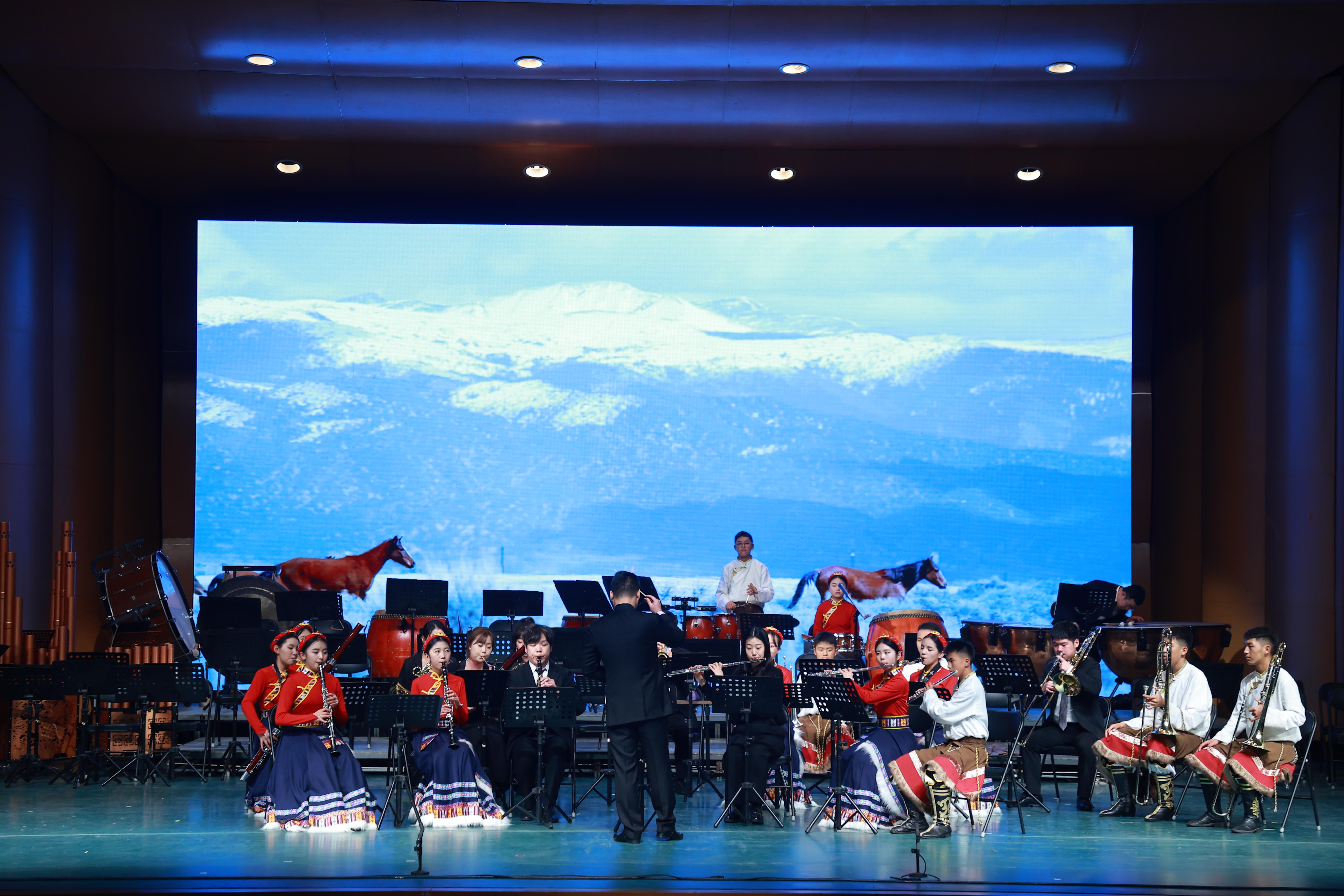 音樂會展演現(xiàn)場。（主辦方供圖）