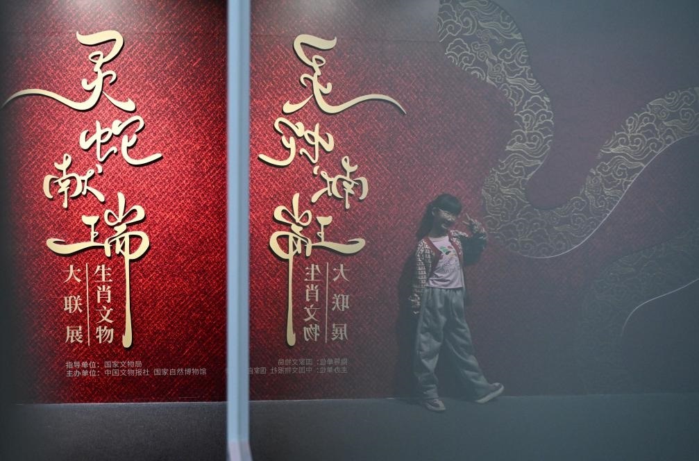 1月18日，一名小朋友在國(guó)家自然博物館舉辦的“靈蛇獻(xiàn)瑞——2025乙巳蛇年生肖文物大聯(lián)展”展覽中拍照留念。（新華社記者 陳鐘昊 攝）