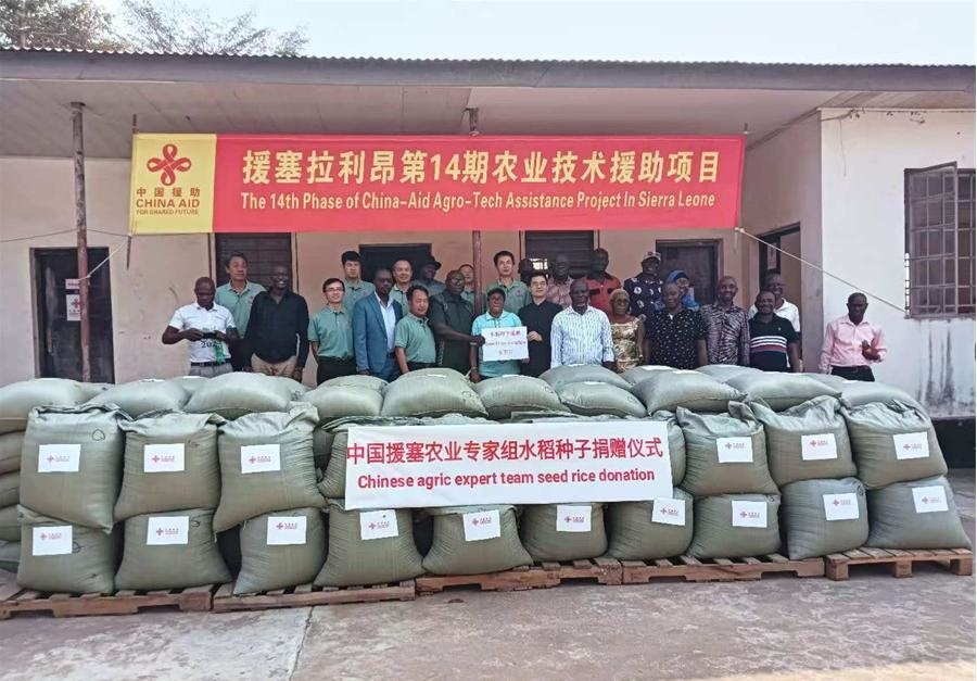 中國(guó)援塞拉利昂農(nóng)業(yè)專家組在塞南方省博城舉辦水稻種子捐贈(zèng)儀式。中國(guó)援塞農(nóng)業(yè)專家組供圖