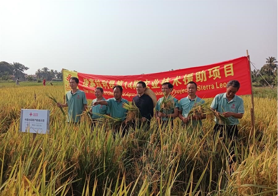 中國(guó)駐塞拉利昂大使王擎和援塞農(nóng)業(yè)專家組合影。中國(guó)援塞農(nóng)業(yè)專家組供圖