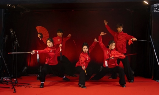 武術(shù)表演。中國駐芬蘭大使館供圖