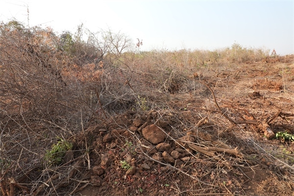 施工現(xiàn)場。張曉昆攝