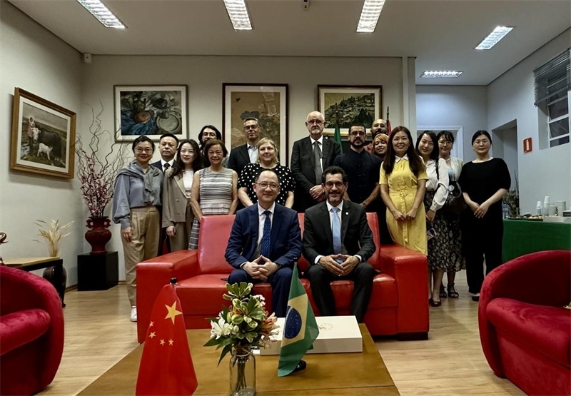 圖為參加座談會的來賓合影留念。 圣保羅州立大學孔子學院供圖