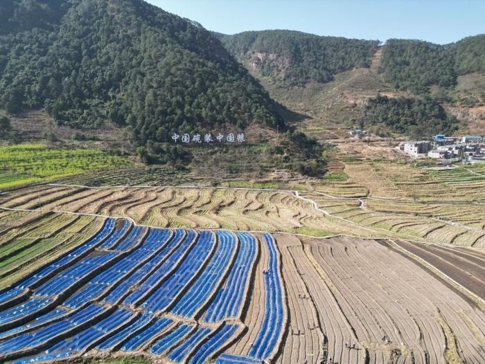 △近日，四川涼山一現(xiàn)代農(nóng)業(yè)園春耕育秧搶農(nóng)時(shí)。