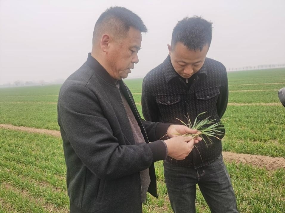 在山東濟寧汶上縣苑莊鎮(zhèn)，農(nóng)技員黃海龍對種糧大戶王振現(xiàn)場進行春耕指導。人民網(wǎng)記者 車柯蒙攝