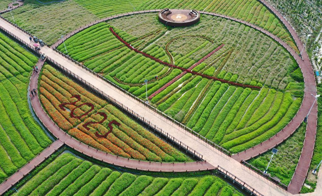 這是3月21日拍攝的瓊海博鰲南強(qiáng)村景色（無人機(jī)照片）。新華社記者 郭程 攝