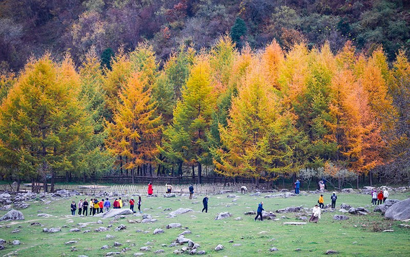 2023年10月27日，深秋時節(jié)的陜西秦嶺太子嶺五彩斑斕，進入最佳觀賞期。