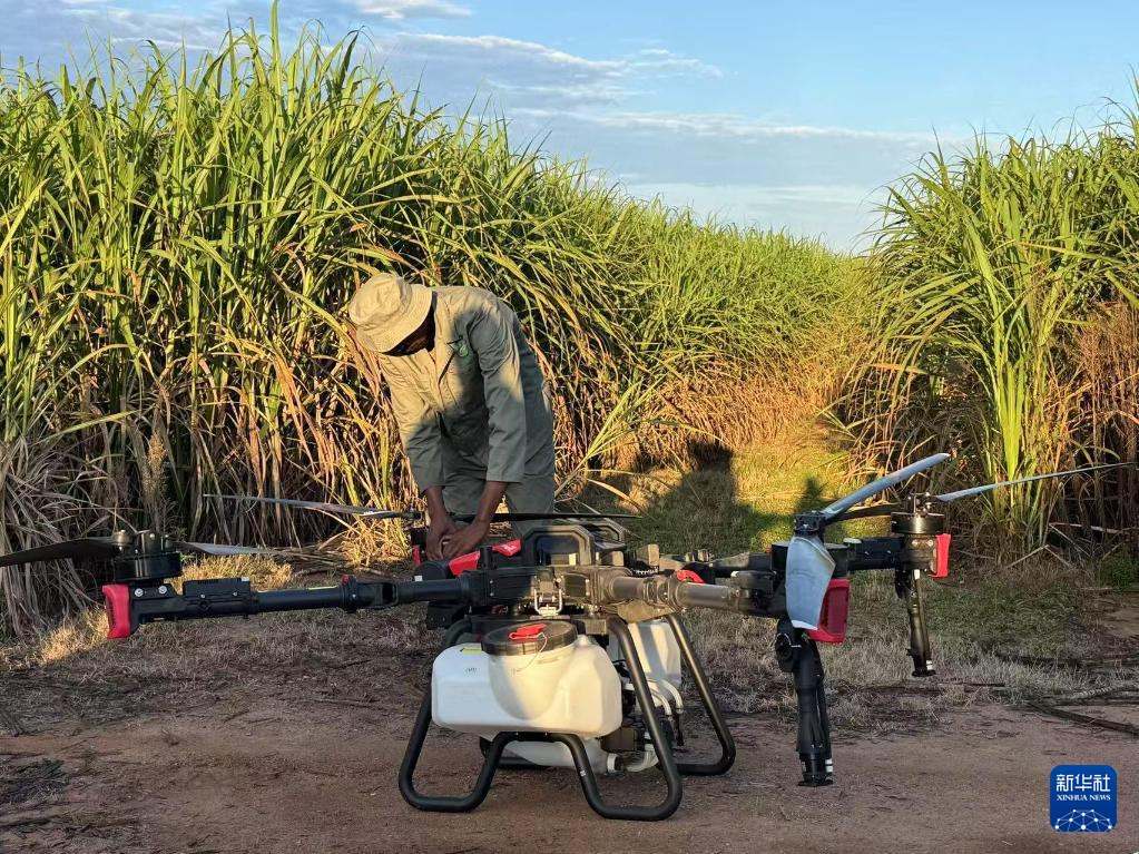 3月25日，在南非夸祖魯-納塔爾省的方廷希爾莊園，工作人員為無人機做起飛作業(yè)前的準(zhǔn)備。新華社記者 白舸 攝