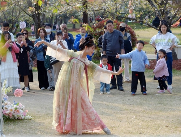 清明假期期間，上海顧村公園櫻花島上，游客在觀賞國風(fēng)漢服快閃表演。（圖片來源：視覺中國）