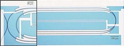 微波光量子傳感器的光學(xué)顯微照片。圖片來源：美國哈佛大學(xué)