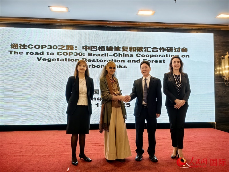 中國國家林業(yè)和草原局副局長李云卿（右二）、巴西環(huán)境和氣候變化部部長瑪麗娜·席爾瓦（左二）、巴西財政部副部長羅熙丹（右一）、巴西駐華大使館公參樂美（左一）出席“通往COP30之路：中巴植樹造林和碳匯合作研討活動”。人民網(wǎng)記者 符園園攝