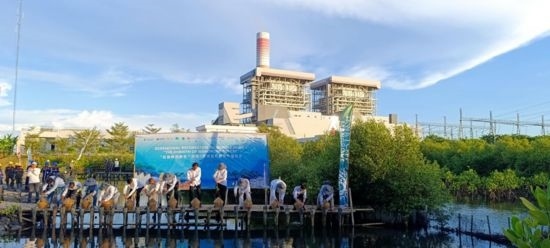 5月18日，中印尼嘉賓在爪哇7號(hào)燃煤電站舉行紅樹林補(bǔ)植儀式。記者 曹凱 攝