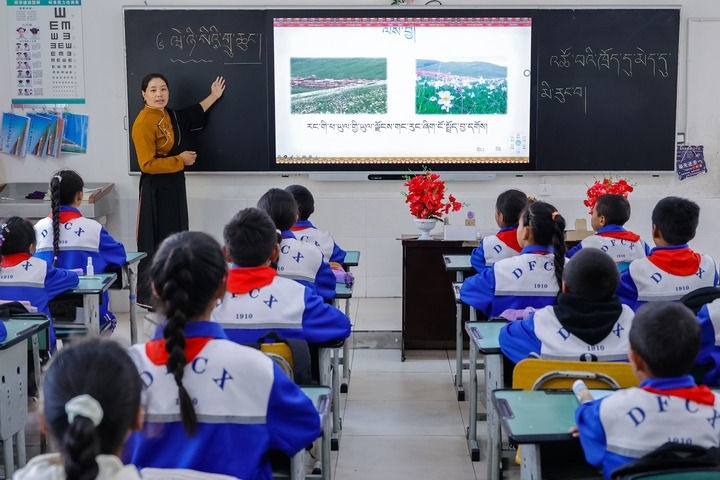 2024年9月27日，在四川省甘孜藏族自治州道孚縣城關(guān)第一完全小學(xué)，采取“藏加模式”教學(xué)的五年級(jí)一班的藏語(yǔ)文課上，準(zhǔn)木周老師指導(dǎo)藏族學(xué)生以家鄉(xiāng)草原風(fēng)物為主題寫(xiě)作藏語(yǔ)文作文。新華社記者 沈伯韓 攝