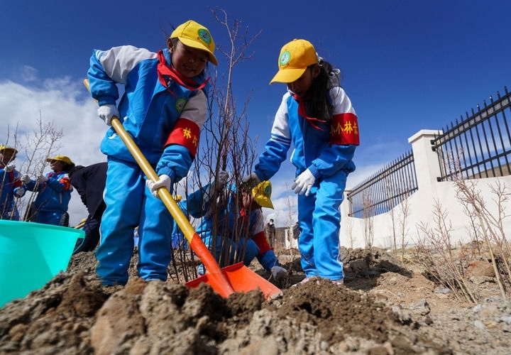2025年4月25日，西藏那曲市小學(xué)生在植樹(shù)。新華社記者 晉美多吉 攝