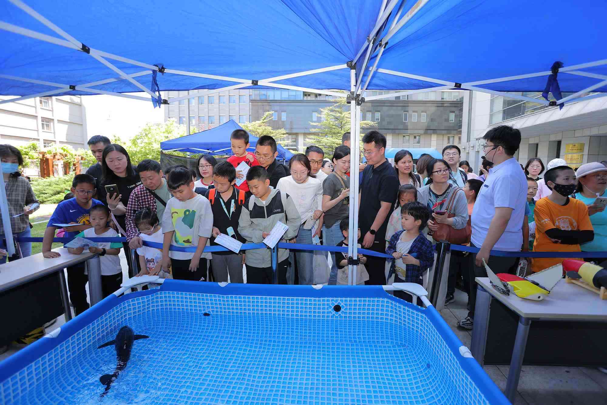 水下仿生機器魚在活動現(xiàn)場大受歡迎。中國科學院自動化研究所供圖